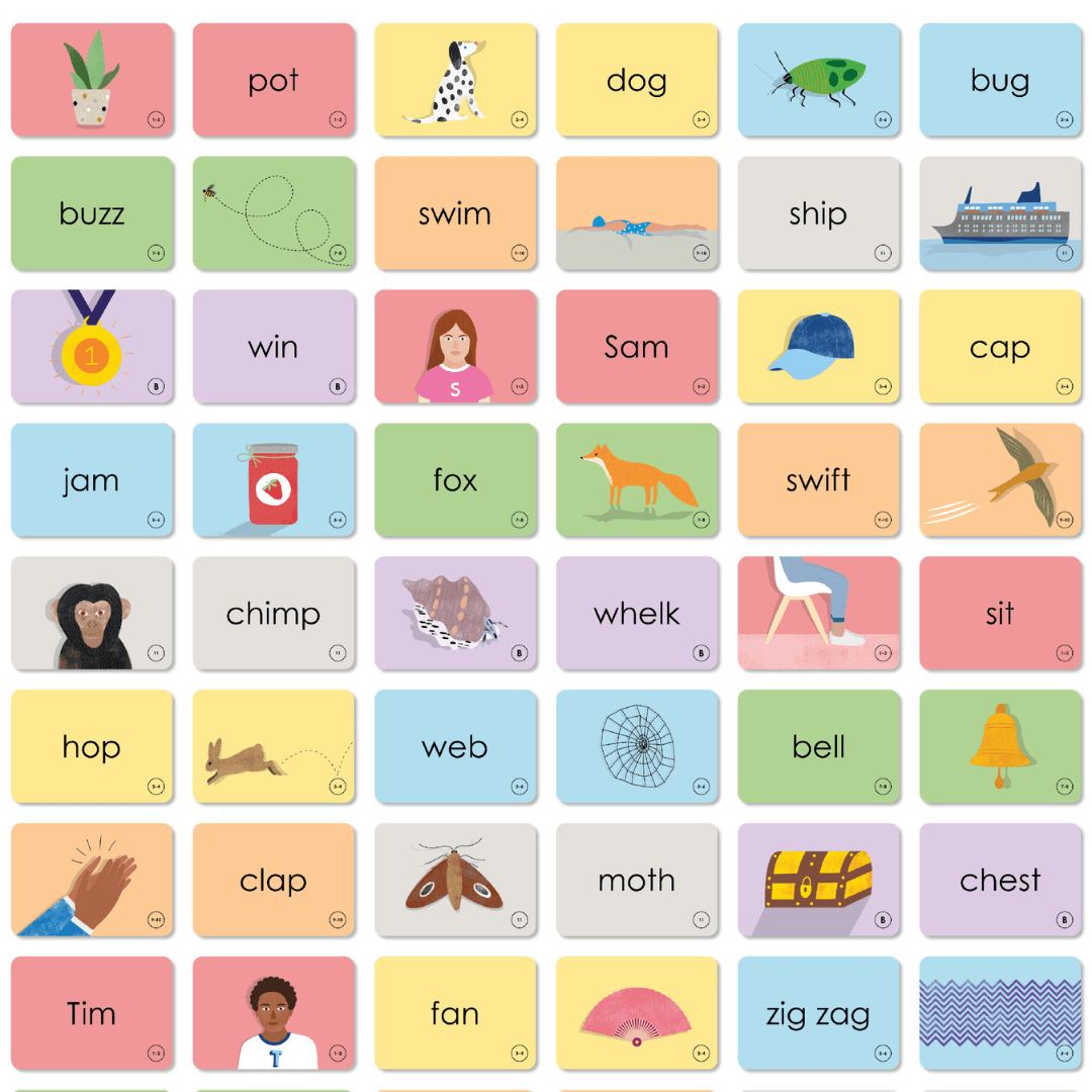 Example of Wiz words cards. Cards with images and matching cards with words.
