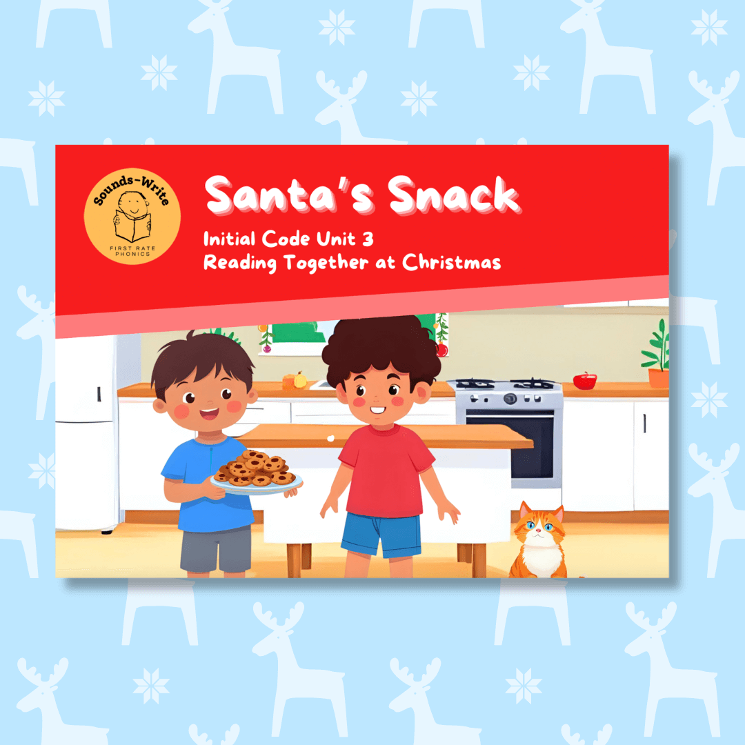 Santa's snack